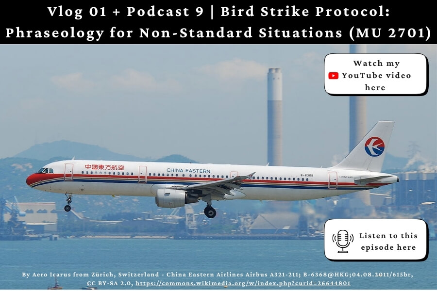 Bird Strike Protocol for Non Standard Situations