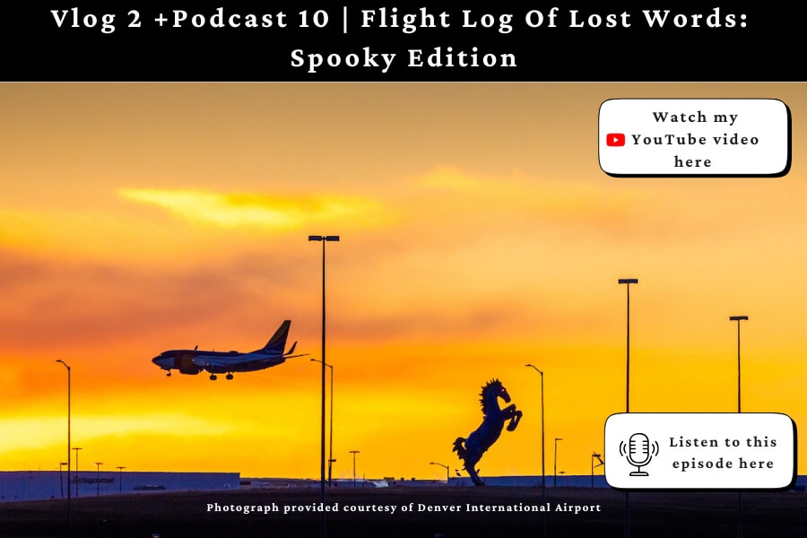 Flight Log Of Lost Words